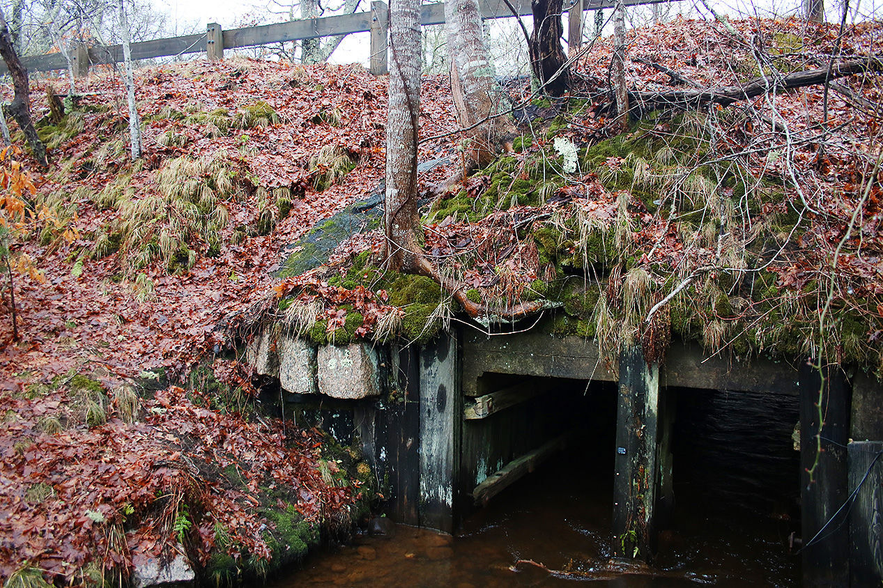 Outfalls Martin Road